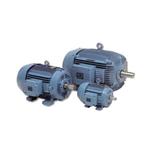 WEG Cast iron motors (general purpose)